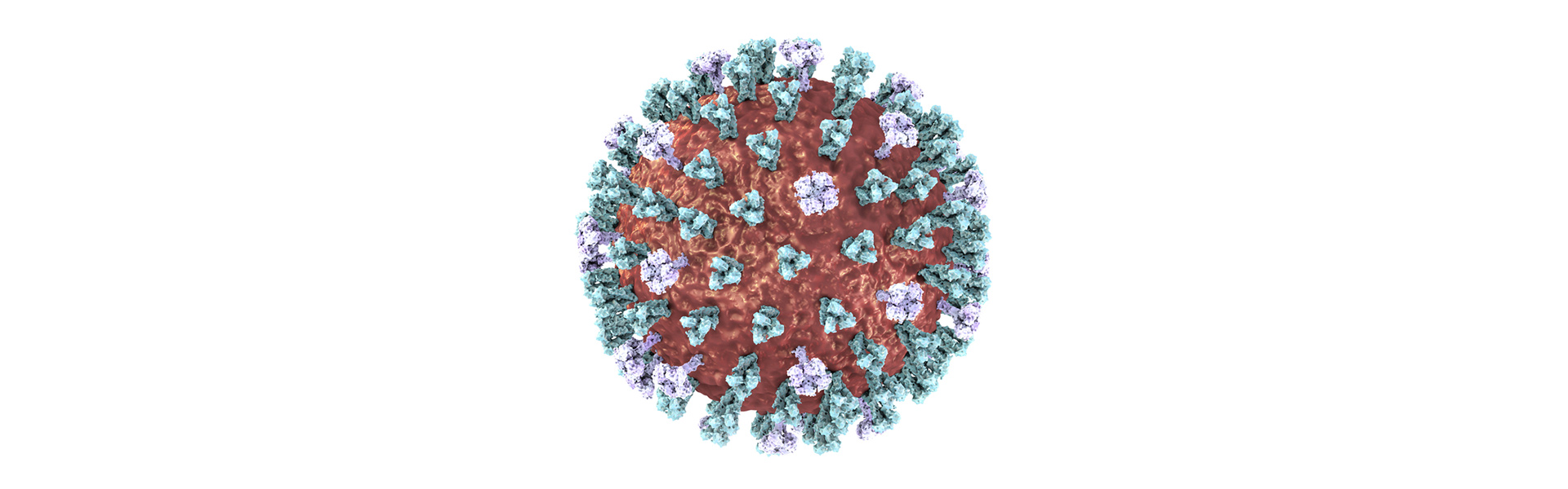 An Informative Guide to Understanding the Influenza Virus